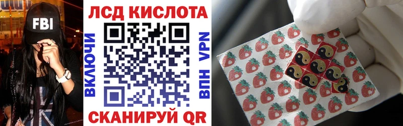 где купить наркоту  гидра как зайти  Наркотические марки 1,8мг  Черногорск 