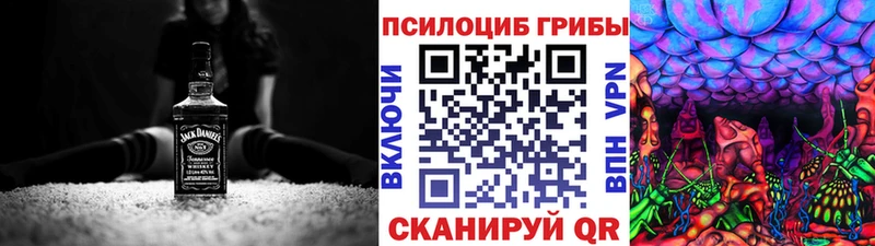 Псилоцибиновые грибы прущие грибы  Черногорск 